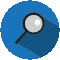 Inspection icon